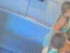 Il pub del villaggio ha rilasciato la CCTV dopo che il suo animale domestico TURTLE Squirt è stato “rubato dalla vasca da due ragazzine”
