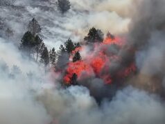 Gli incendi bruciano nel Peak District mentre la Gran Bretagna registra nuovamente il giorno più caldo di giugno e l’allerta meteo rossa viene estesa