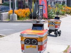 Il CEO di eCommerce Giant avverte che i robot sostituiranno gli esseri umani nella consegna del cibo e in altri lavori della Gig Economy