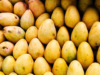 L’India promuove i mango Dasheri, Chausa, Langra e Kesar in Islanda