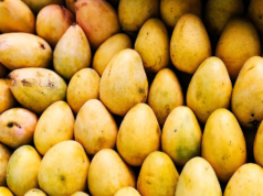 L’India promuove i mango Dasheri, Chausa, Langra e Kesar in Islanda