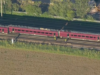 L’incidente tra due treni provoca almeno 1 morto e 89 feriti mentre le squadre di emergenza si precipitano sulla scena caotica